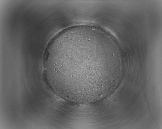 X0000073521267200608140951