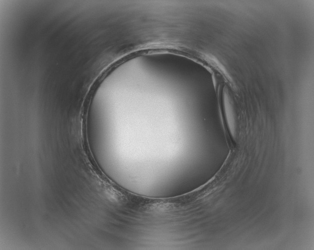 X0000073521268200608140951