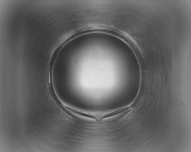 X0000073521269200608140951