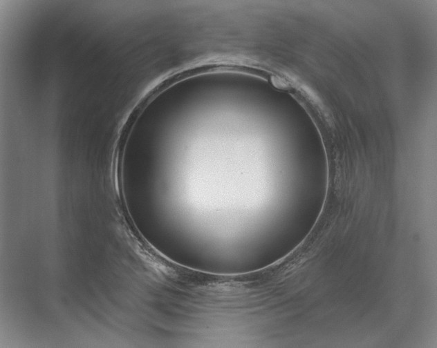 X0000073521272200608140951