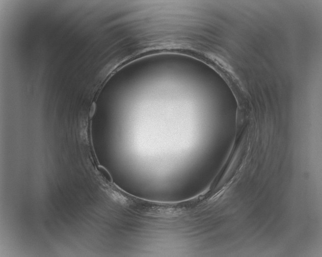 X0000073521273200608140951