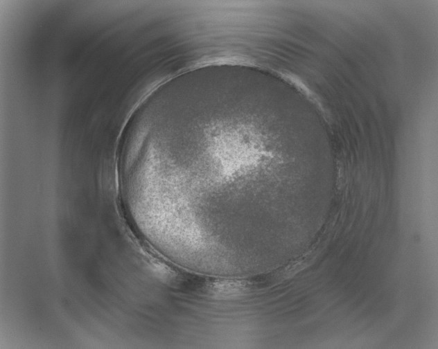 X0000073521274200608140951