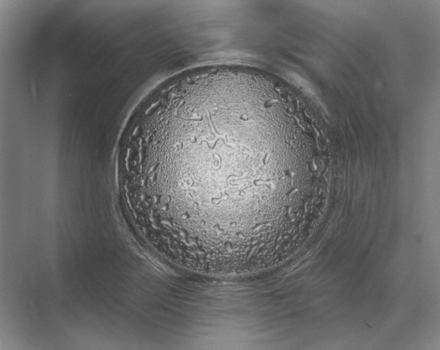 X0000073521275200608140951