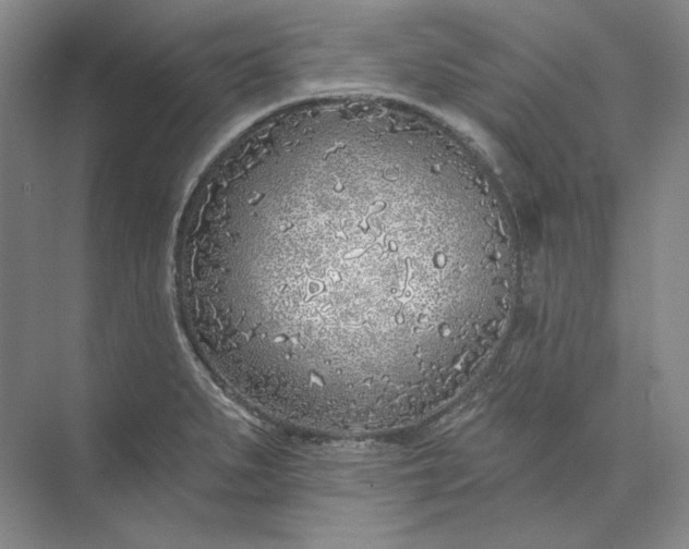 X0000073521279200608140951