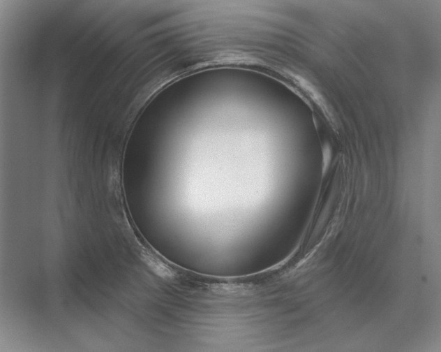 X0000073521281200608140950