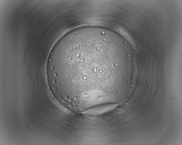 X0000073521283200608140950