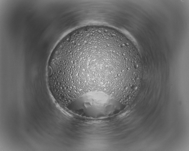 X0000073521287200608140950