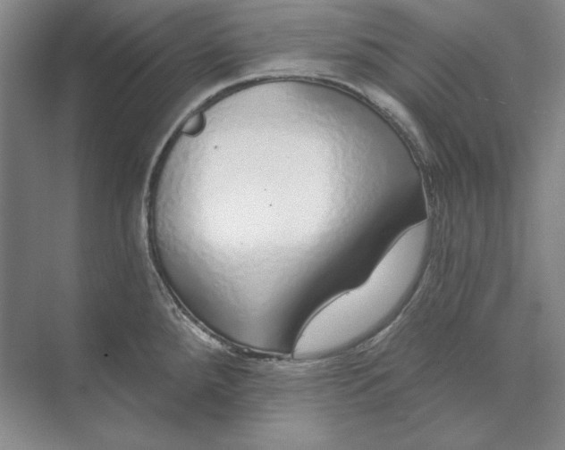 X0000073521288200608140950