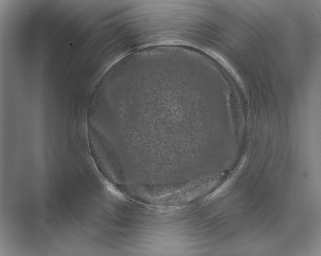 X0000073521289200608140950