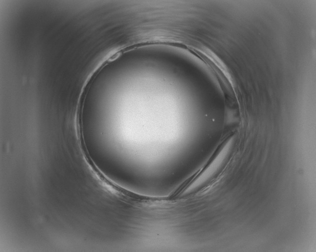 X0000073521293200608140950