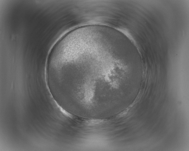 X0000073521294200608140950