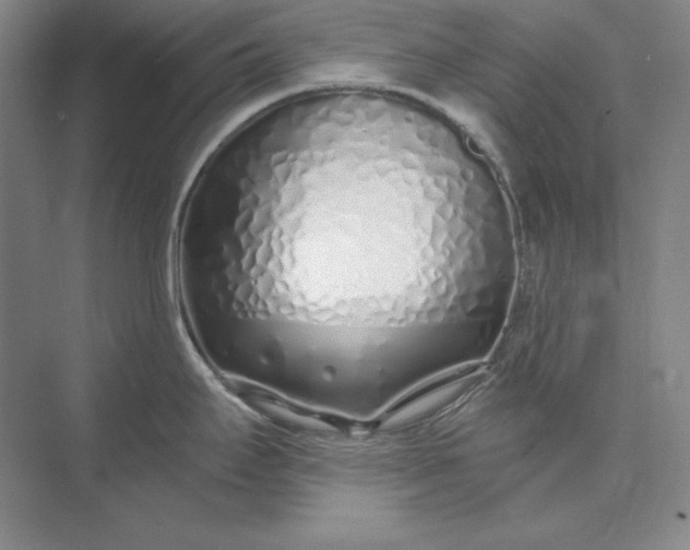 X0000073521295200608140950