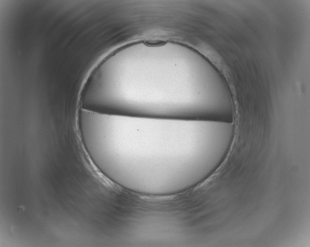 X0000073521296200608140950