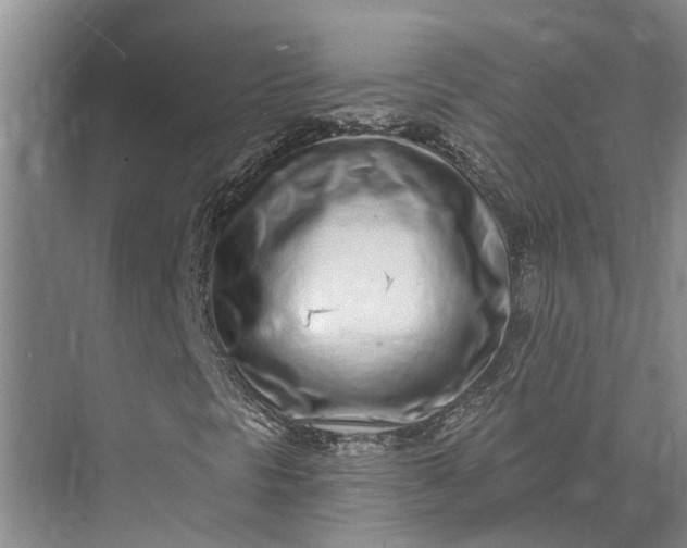 X0000073521297200608140949