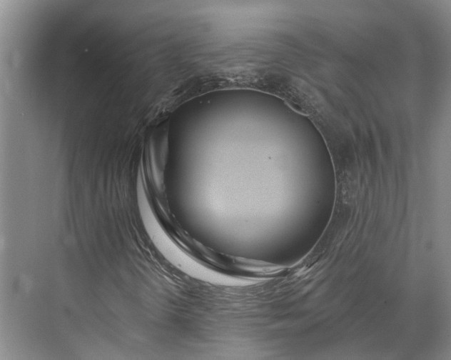 X0000073521298200608140949