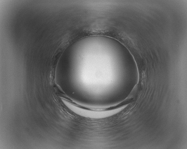 X0000073521300200608140949