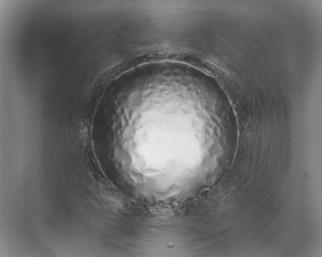 X0000073521302200608140949