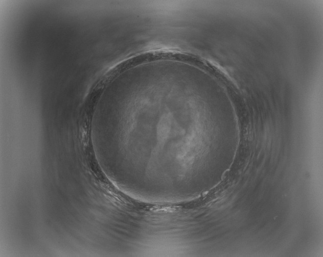 X0000073521303200608140950