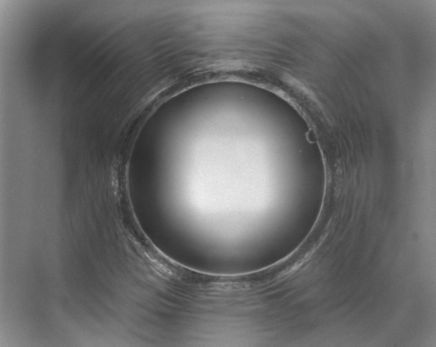 X0000073521305200608140950