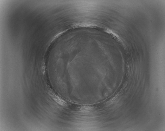 X0000073521306200608140950