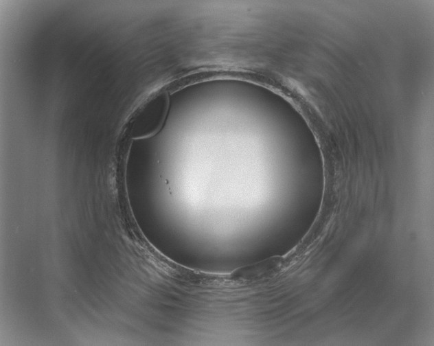 X0000073521307200608140950