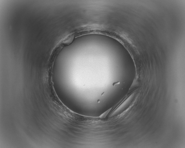 X0000073521309200608140950