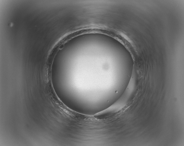 X0000073521310200608140950