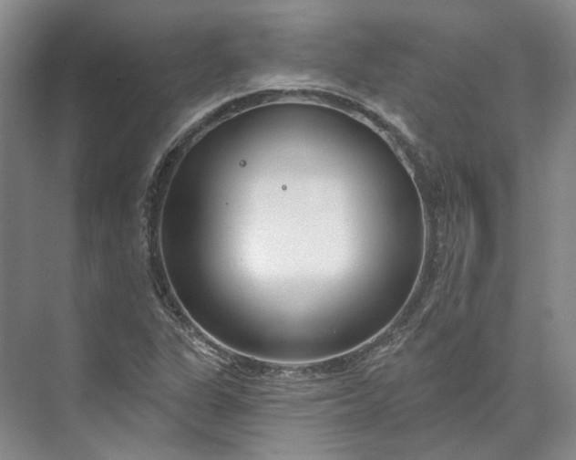 X0000073521311200608140950