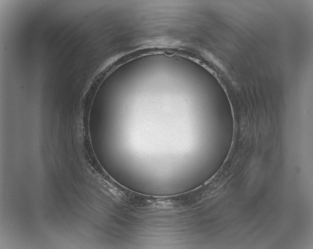 X0000073521315200608140950