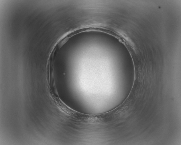 X0000073521316200608140950