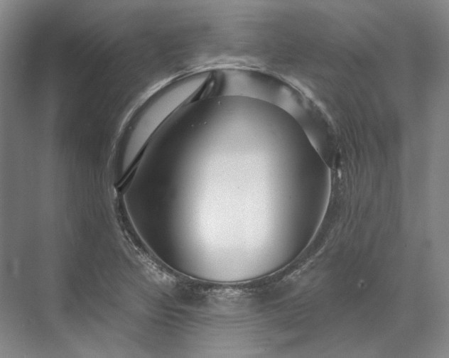 X0000073521317200608140950