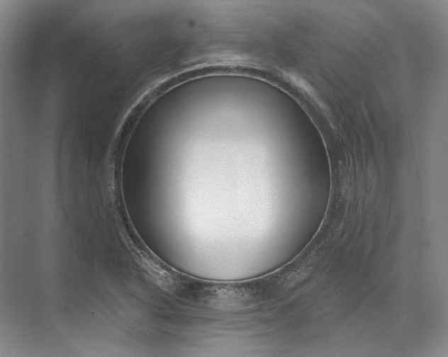 X0000073521318200608140950