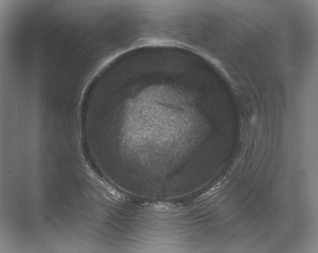 X0000073521319200608140950