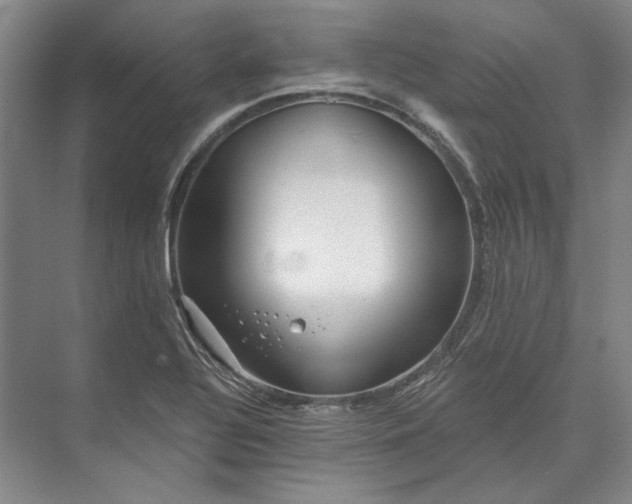 X0000073521320200608140950