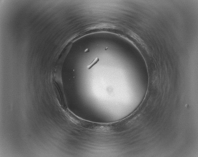 X0000073521321200608140950