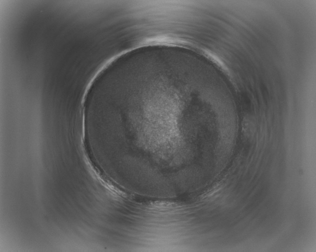 X0000073521323200608140950