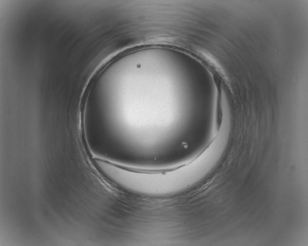 X0000073521324200608140950