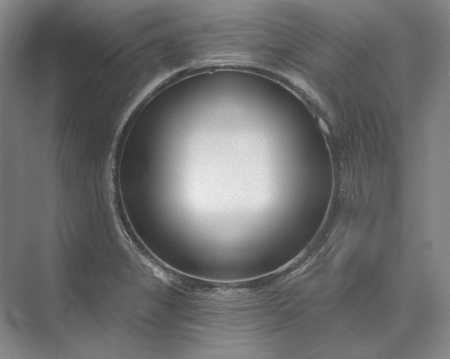 X0000073521325200608140950