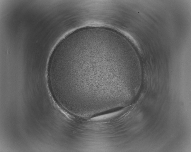 X0000073521327200608140950