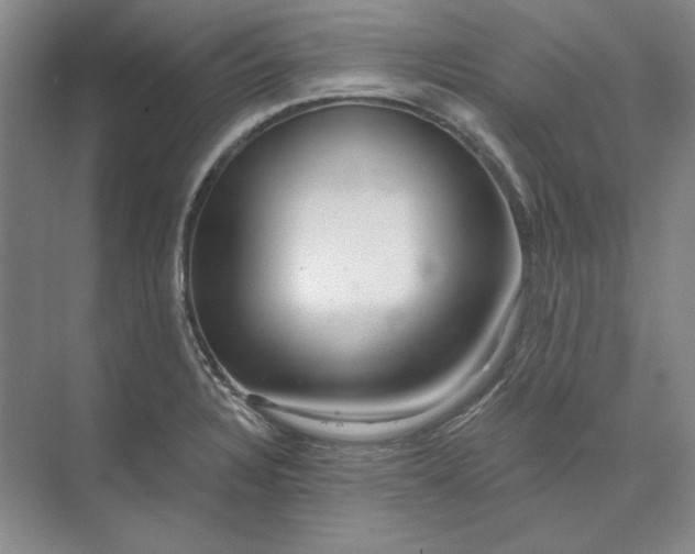 X0000073521328200608140950