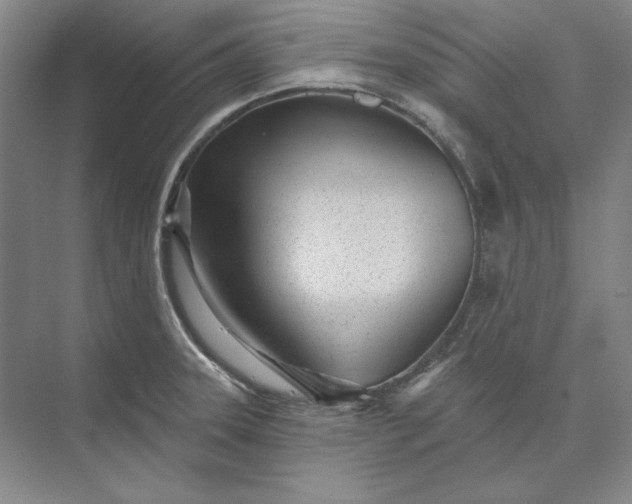 X0000073521331200608140950