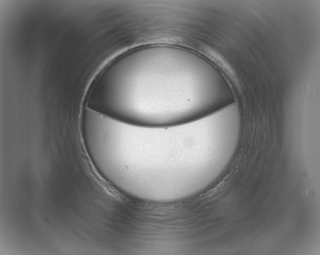 X0000073521332200608140950