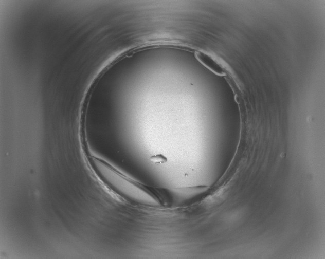 X0000073521333200608140950