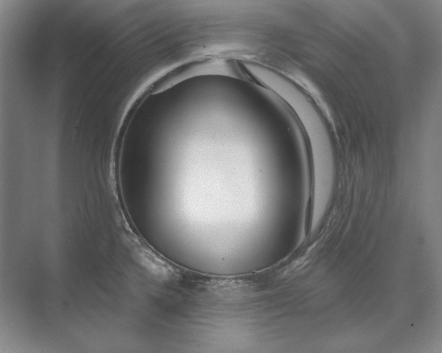 X0000073521336200608140950