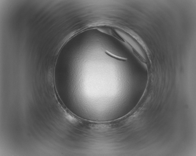 X0000073521337200608140950