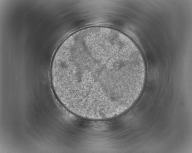 X0000073521338200608140950