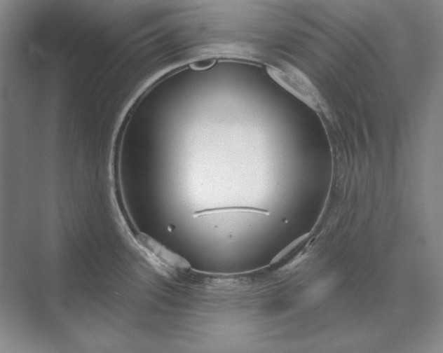 X0000073521339200608140950