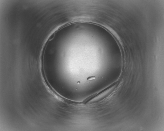 X0000073521341200608140950