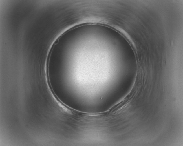 X0000073521343200608140950