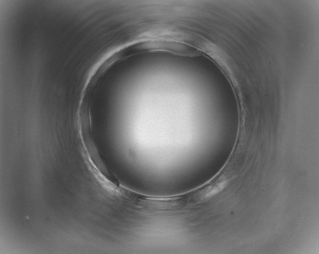 X0000073521344200608140950